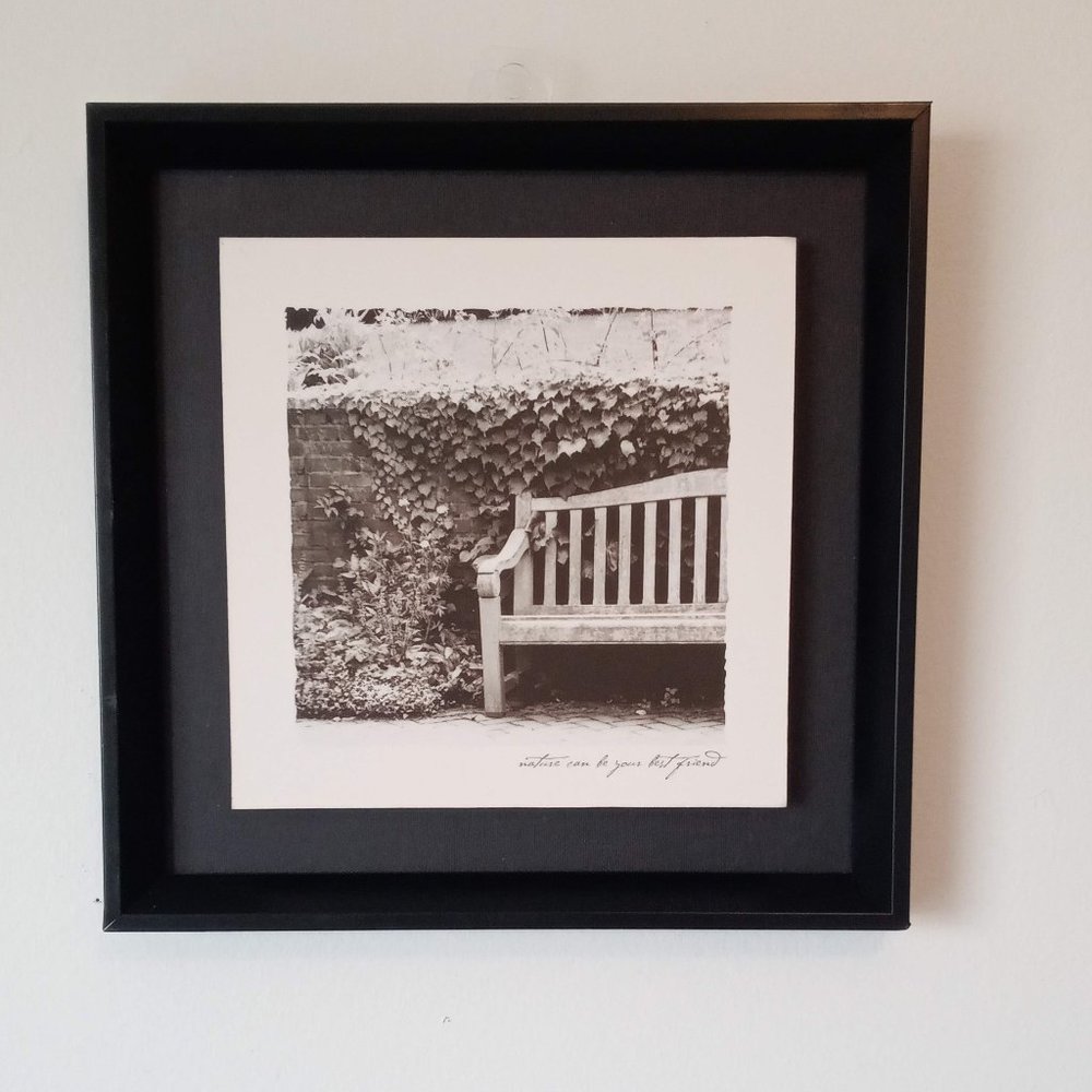 Framed Art "Nature Can Be Your Best Friend" Nature Scene